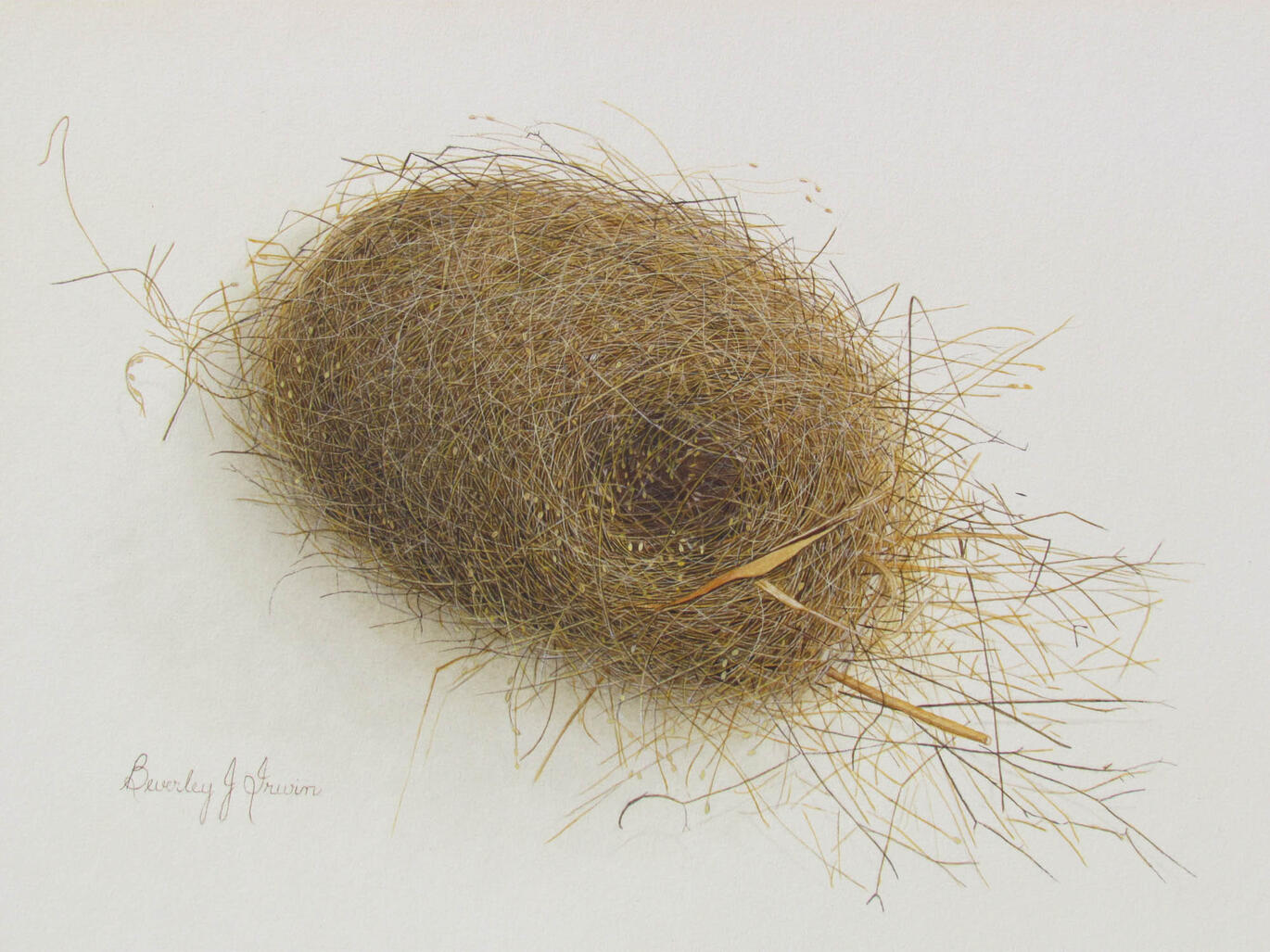 round next with fine twigs sticking out everywhere