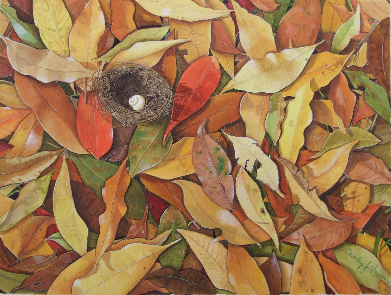 Colourful leaves on forest floor with nest of twigs on top