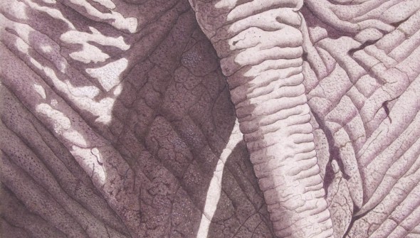 Elephant Landscape - Wildlife Watercolour